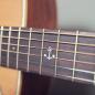 Preview: Anchor Guitars Falcon Europe CW AE
